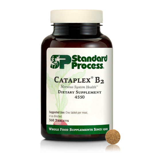 Cataplex B2 bottle for nervous system and brain health - 360 tablets