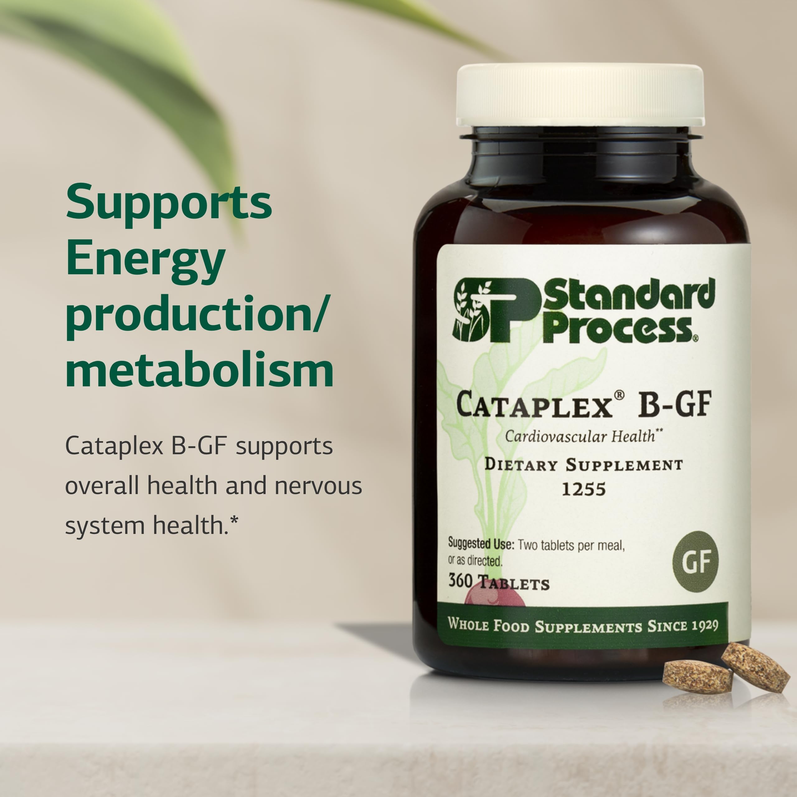 Illustration of B vitamins for energy support