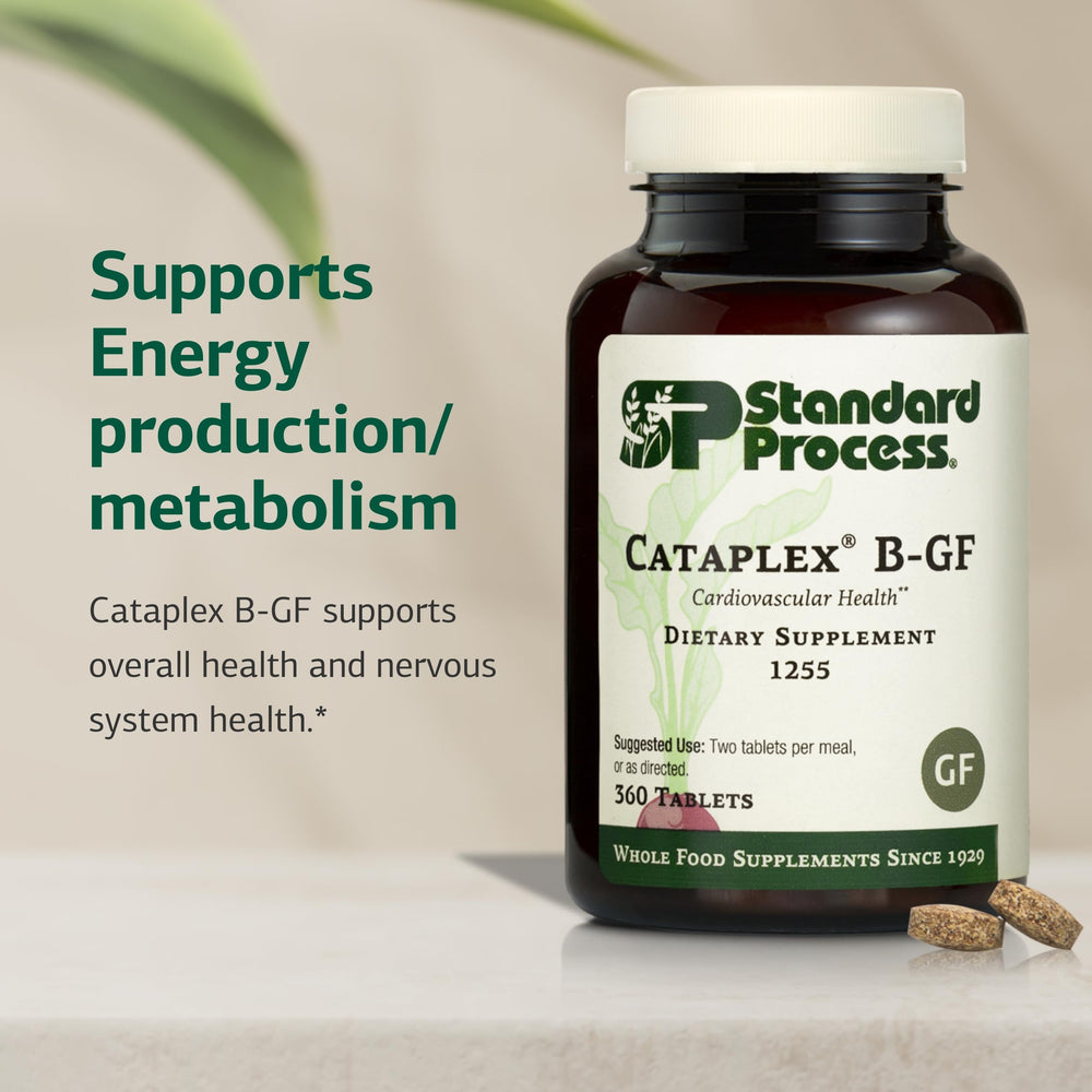 Illustration of B vitamins for energy support