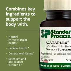 Graphic illustrating antioxidant support and cellular health