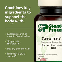 Vitamin B6 ingredient highlighted on label