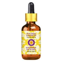 Catnip essential oil in amber glass bottle with dropper