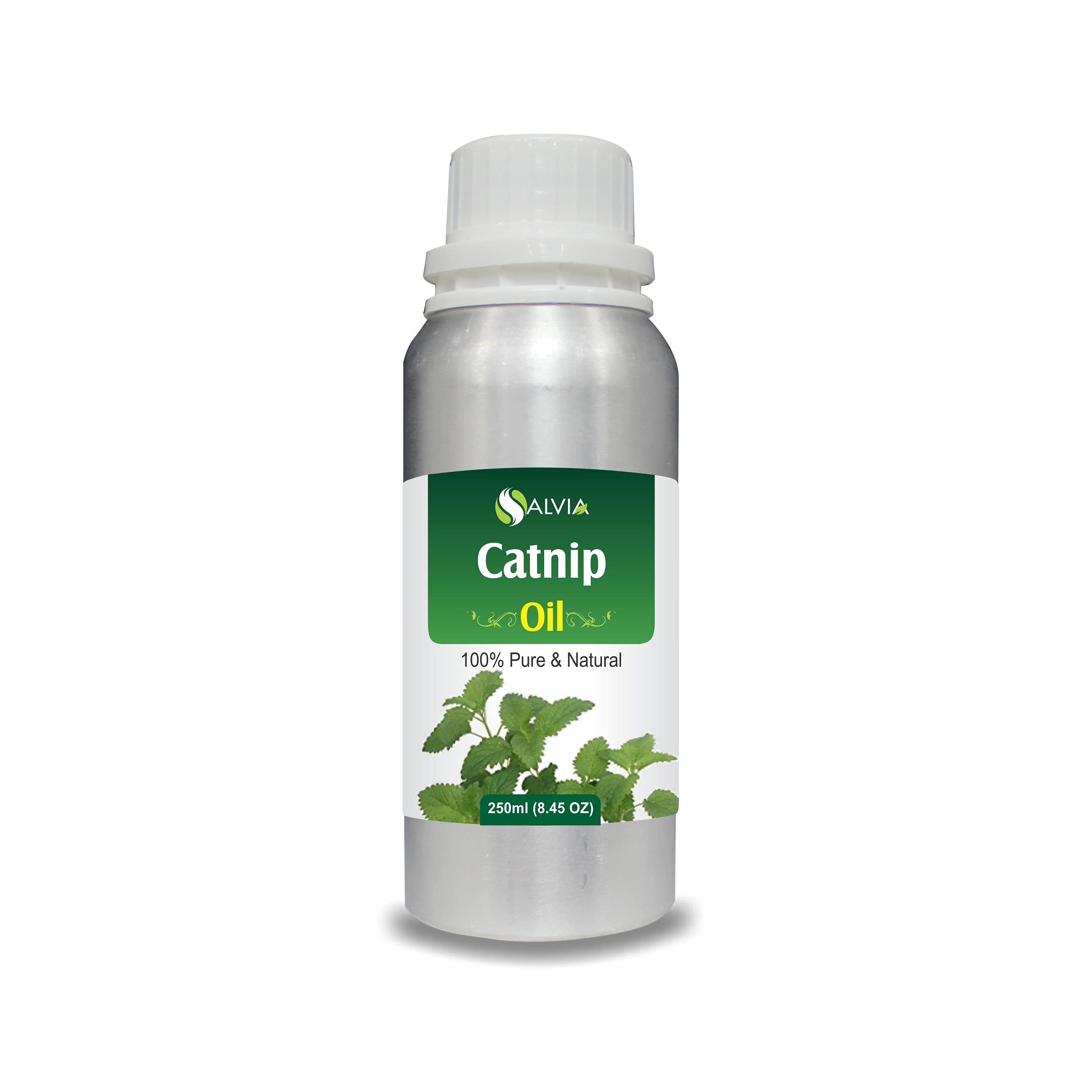 Catnip essential oil bottle, 250 ml (8.45 oz), Nepeta cataria