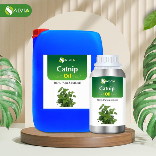 Close-up of Catnip essential oil bottle with dropper