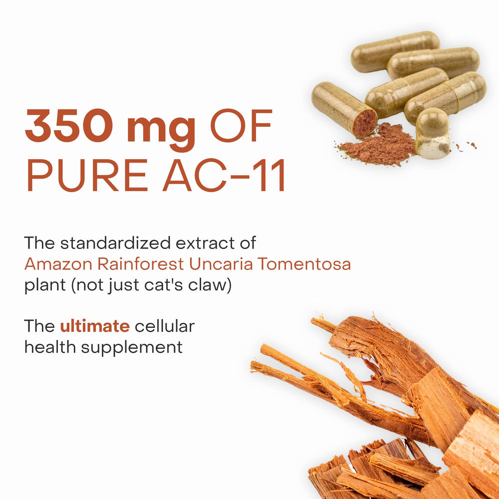 Refined AC-11 cat's claw extract close-up