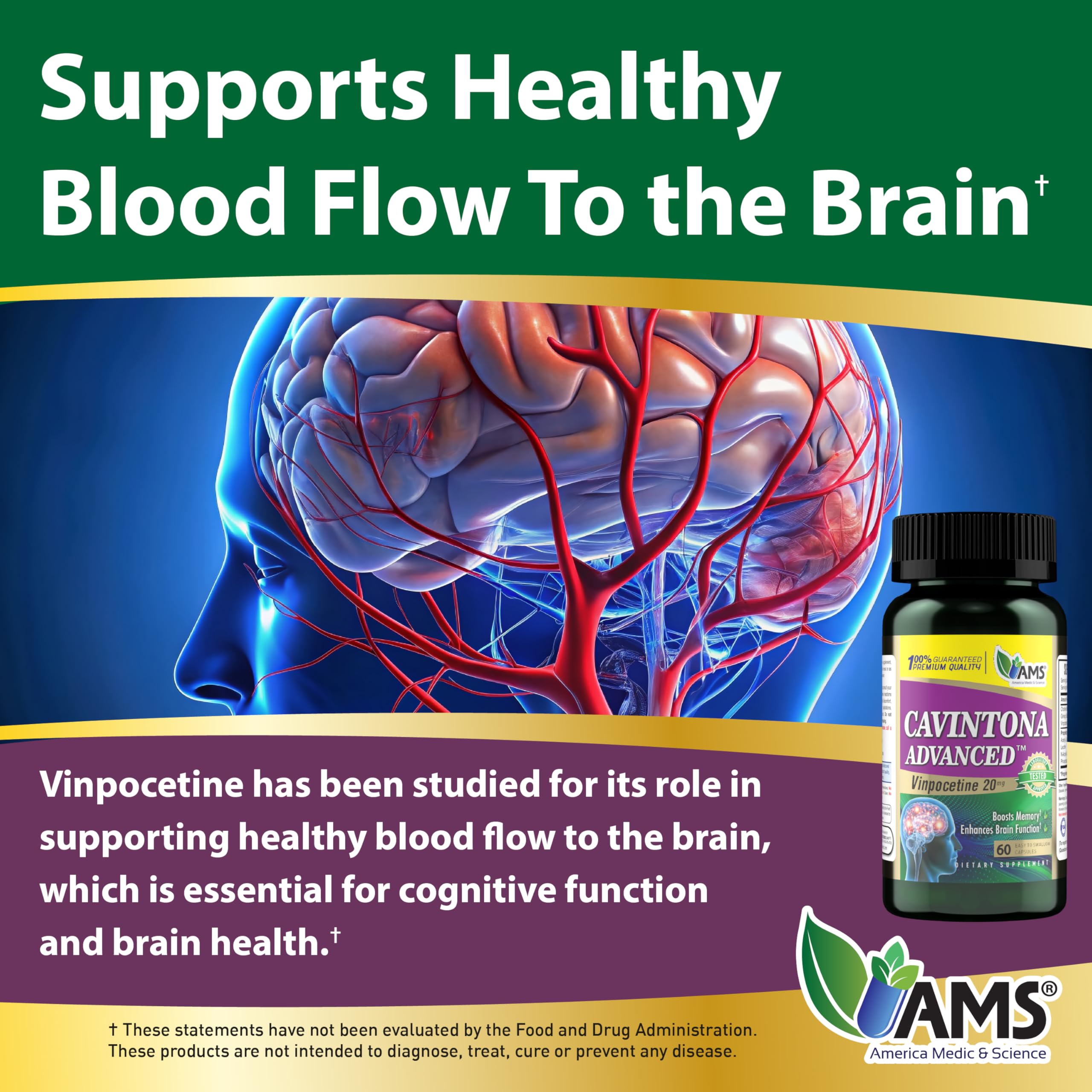 Graphic illustrating brain blood flow
