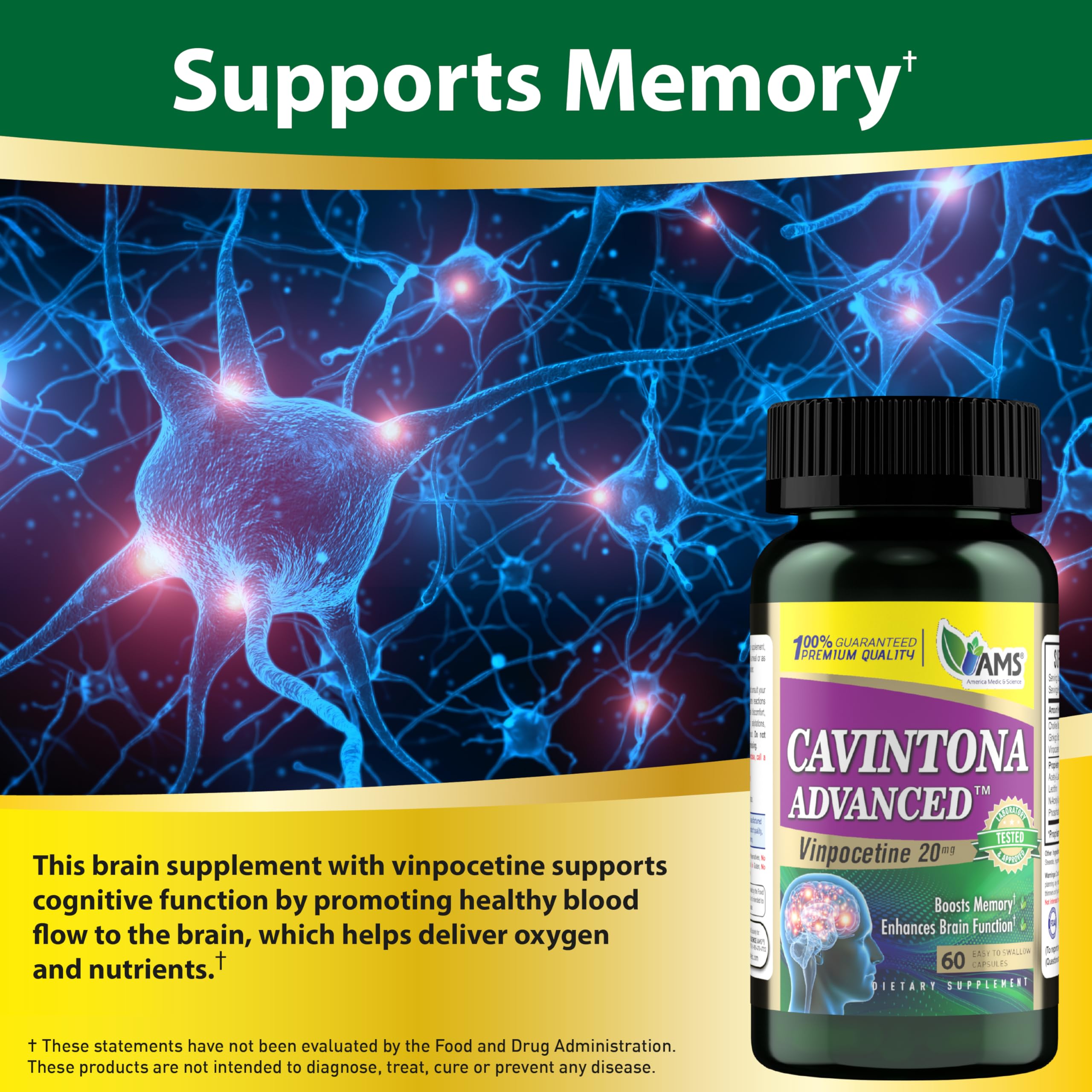 Graphic showing memory and concentration benefits