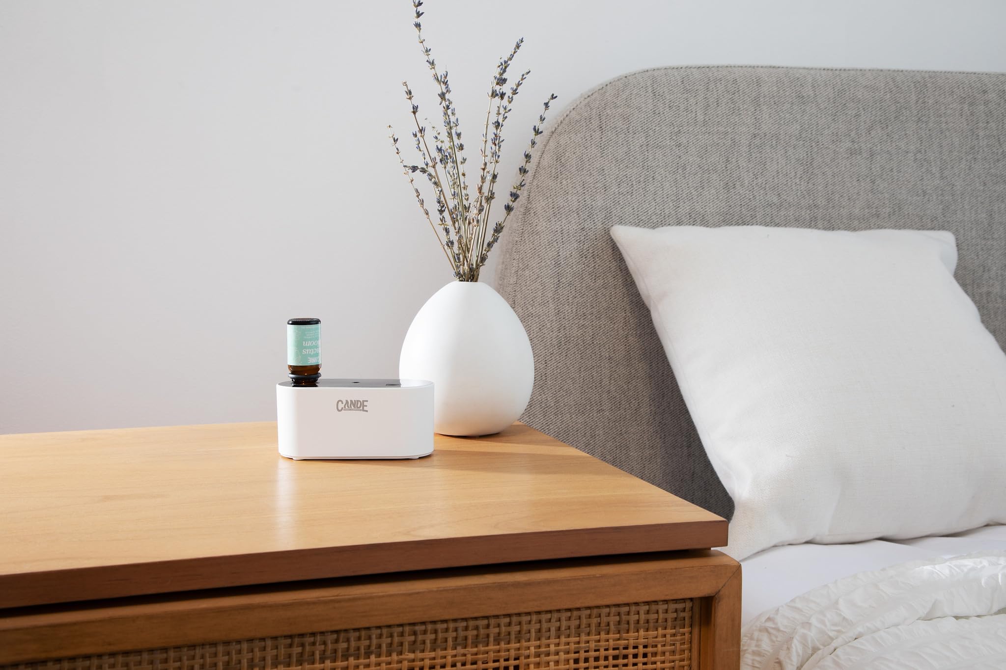 CE CRAFT waterless diffuser in a home living room