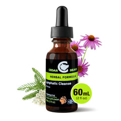 Elderberry and echinacea plant ingredients for Cedar Bear drops