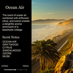 cedar crate market peach jasmine rose fragrance creates uplifting mood and scent memory.