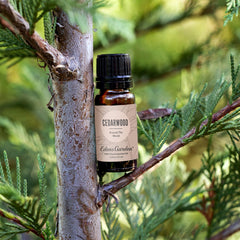 Cedarwood Around The World essential oil bottle with dropper