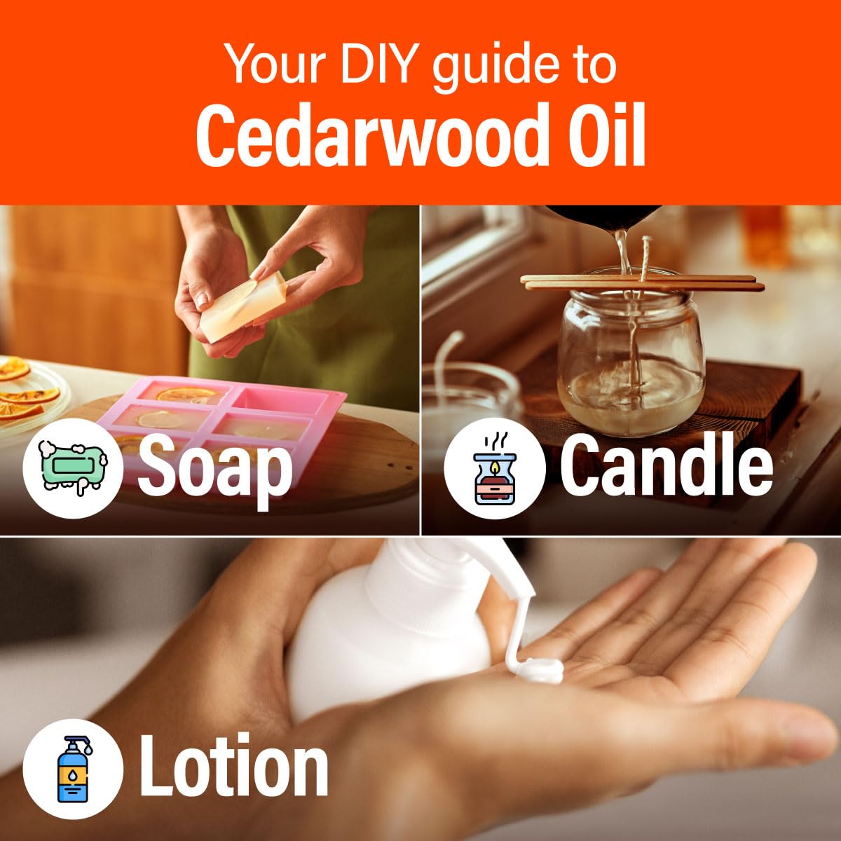 Cedarwood essential oil for diffusers and aromatherapy
