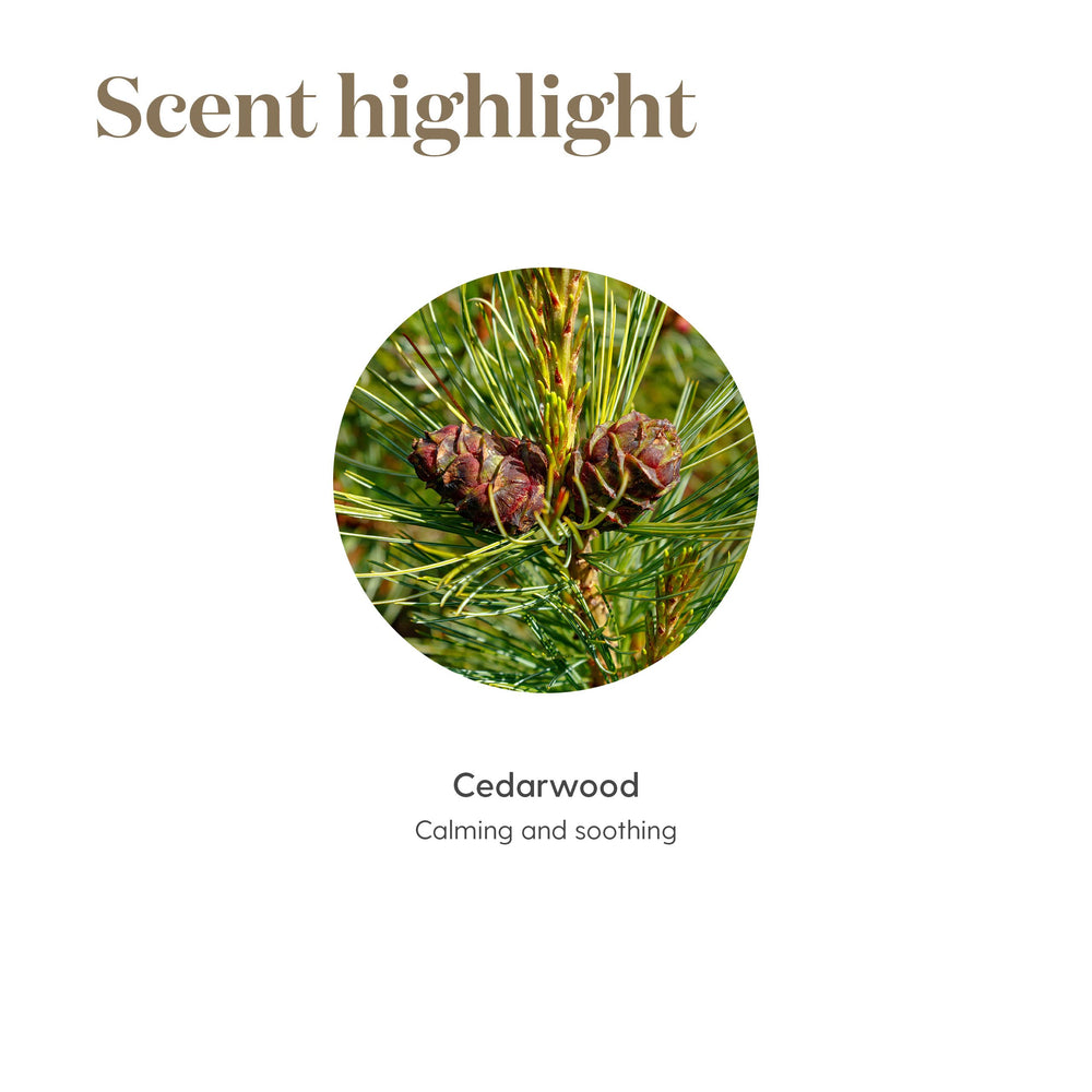 Dropper dispensing Cedarwood oil for skincare routine