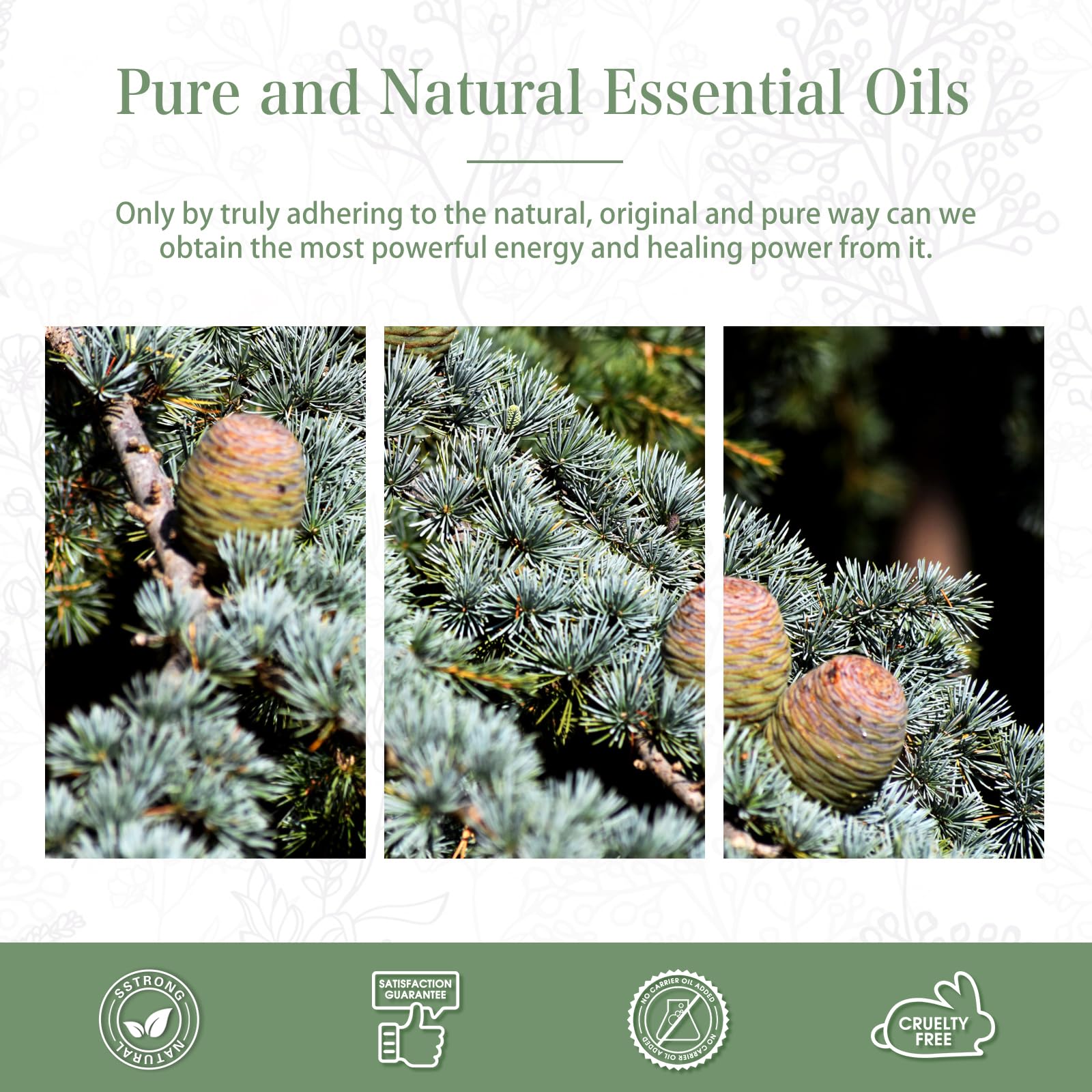 Gift box packaging for cedarwood essential oil