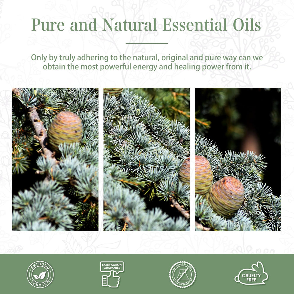 Gift box packaging for cedarwood essential oil