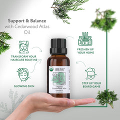 Steam-distilled Cedarwood Essential Oil