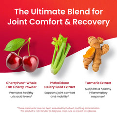 Celery seed powder ingredient