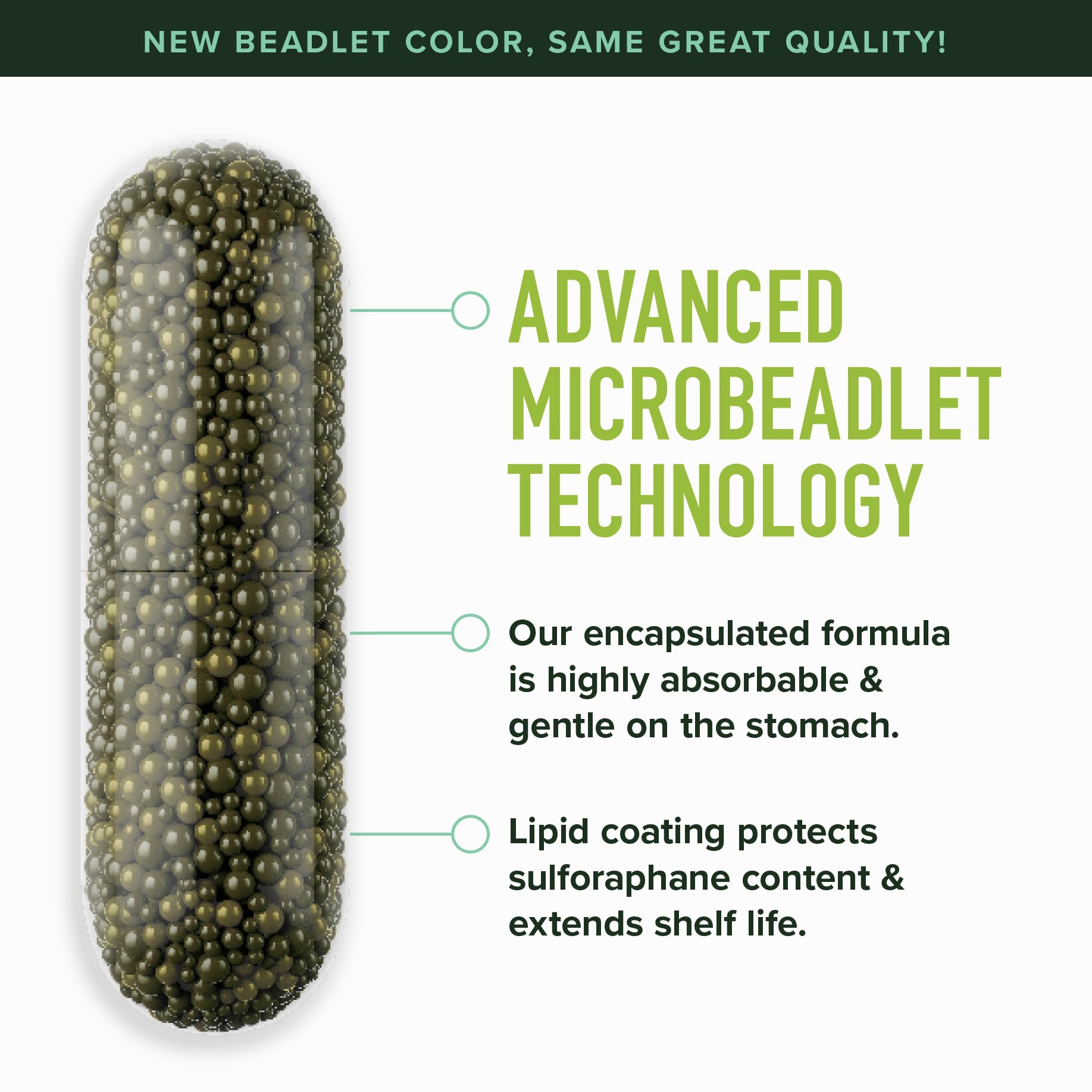 Cellular health and longevity concept