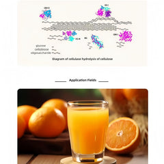 Cellulase enzyme dissolving in water at 40-50°C