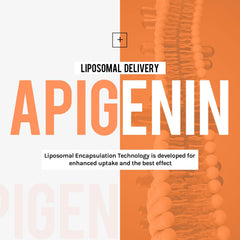 Close-up of Cenffitio liposomal apigenin softgels