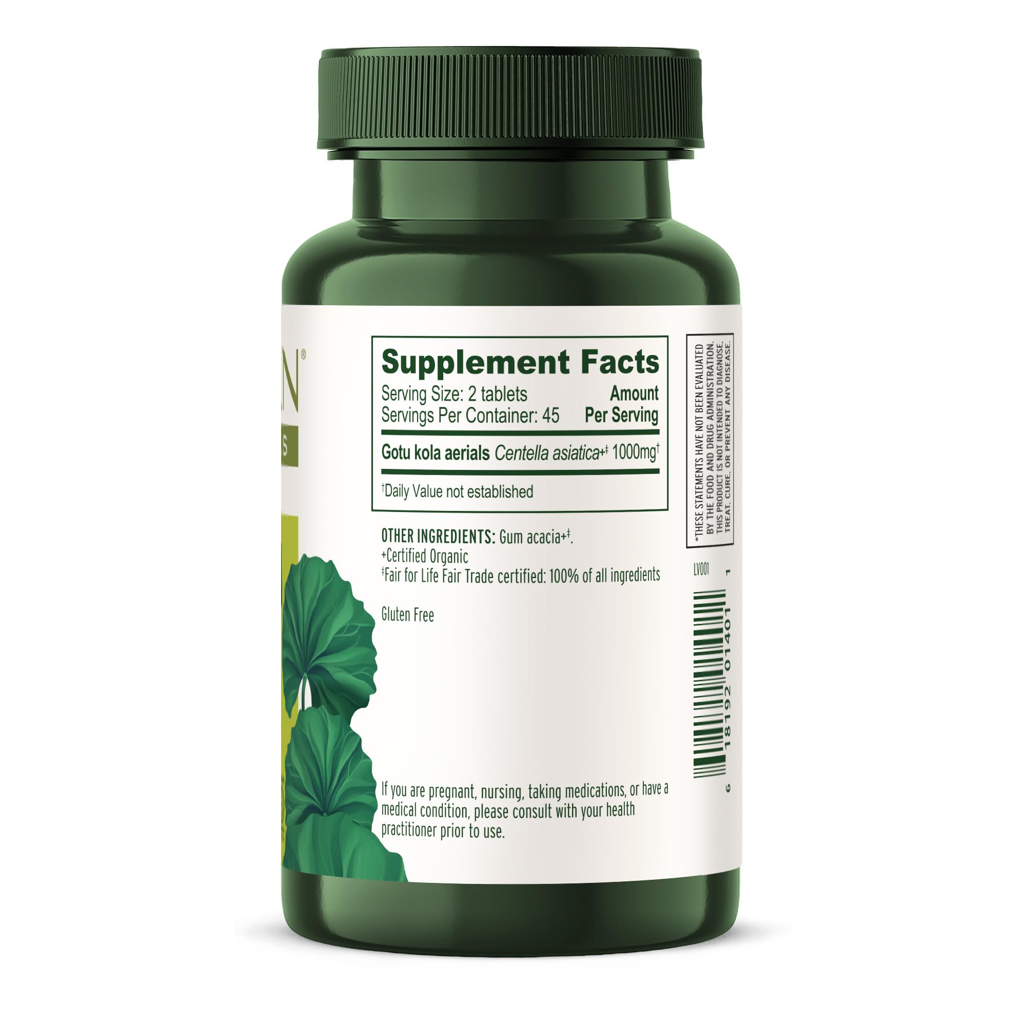 Centella Asiatica organic herbs illustration