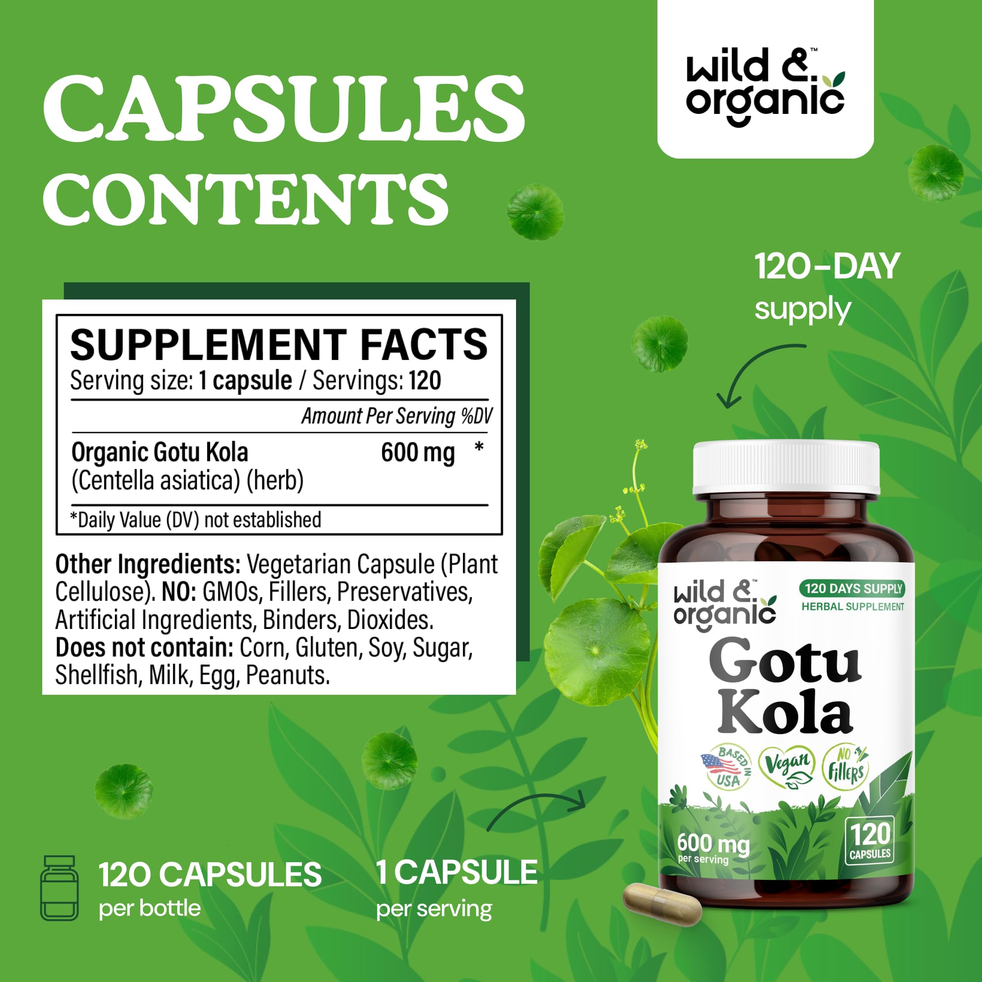 Illustration of Centella Asiatica powder used in gotu kola capsules