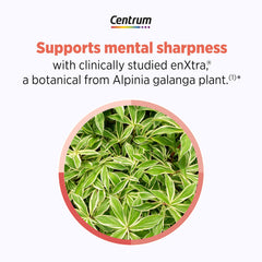 Centrum Vitamin B6 icon with brain function and energy support