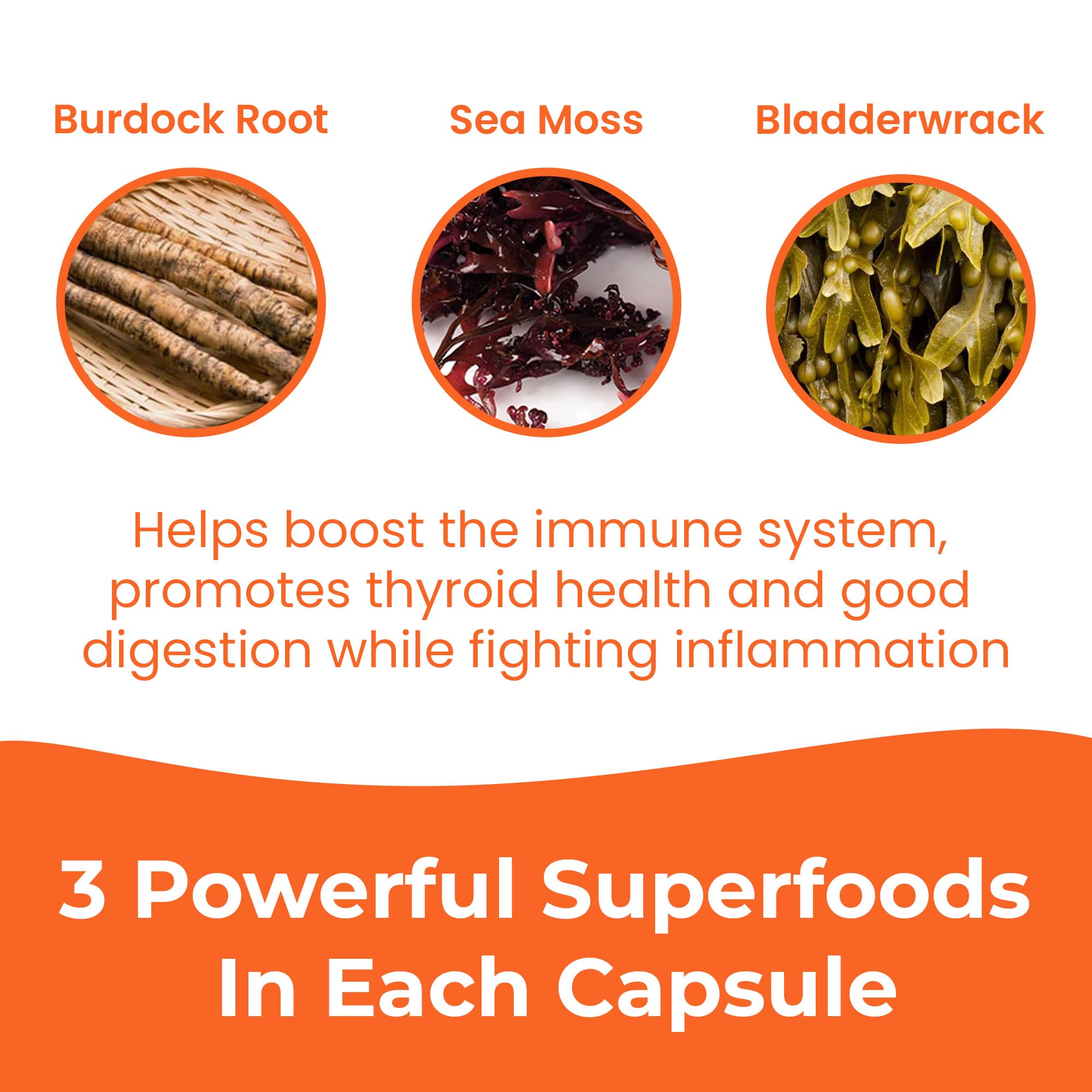 Certificate of Analysis for Infinite Age sea moss capsules