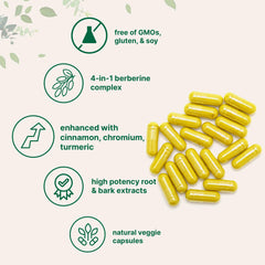 Ceylon cinnamon 5:1 bark extract illustration