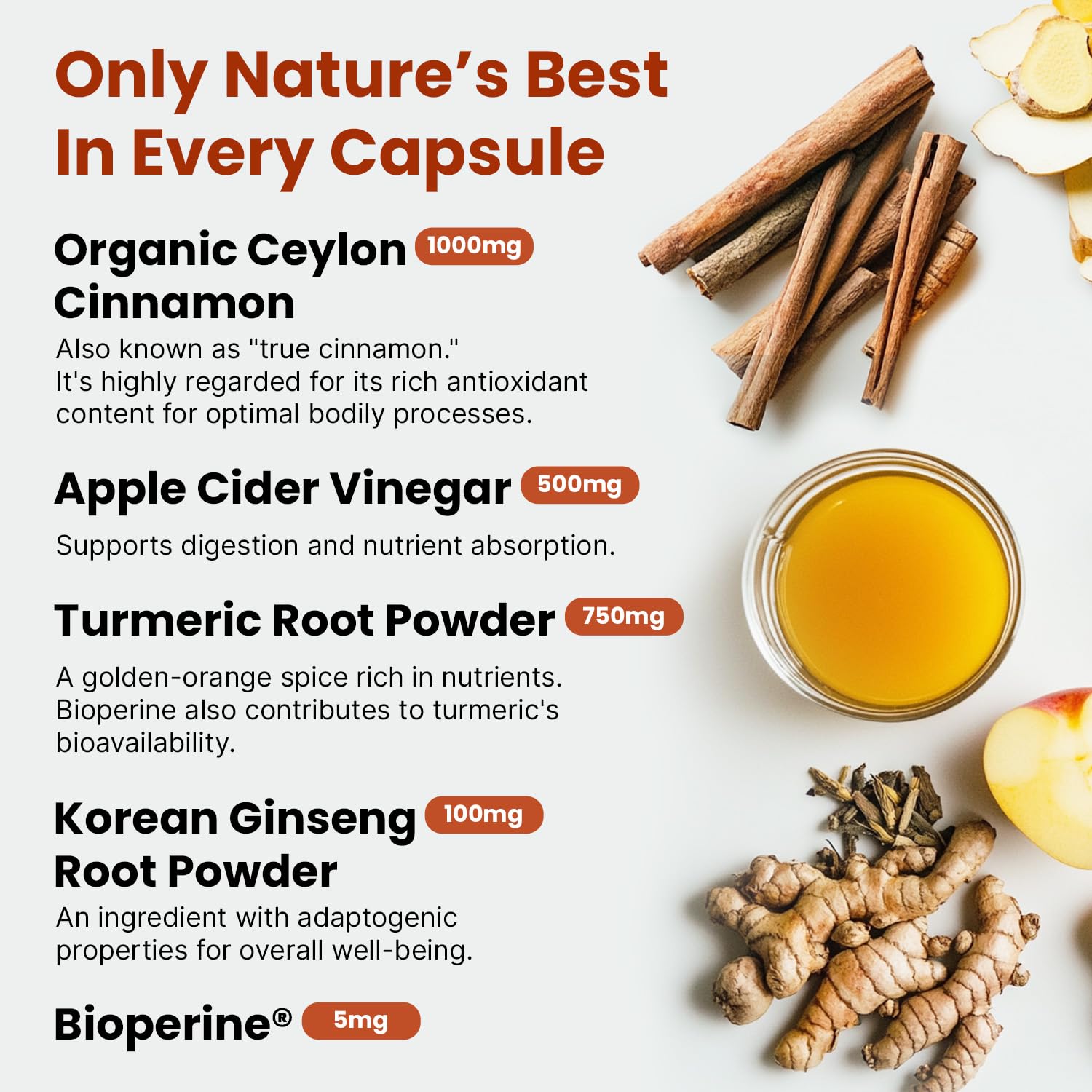 Close-up of ingredients: cinnamon, apple cider vinegar, turmeric, ginseng, bioperine