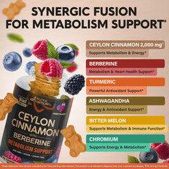 Berberine and Turmeric ingredients visual beside gummies