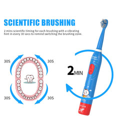 USB rechargeable toothbrush with 400 mAh battery