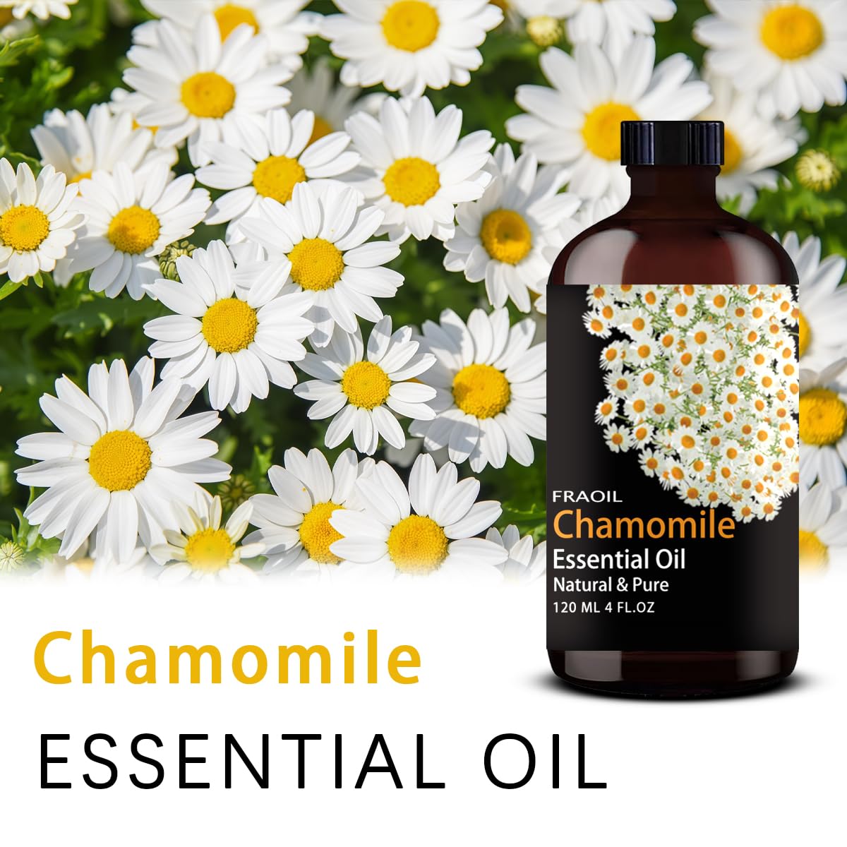 Chamomile essential oil with glass dropper in amber bottle.