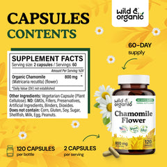 Close-up of chamomile flowers with capsules