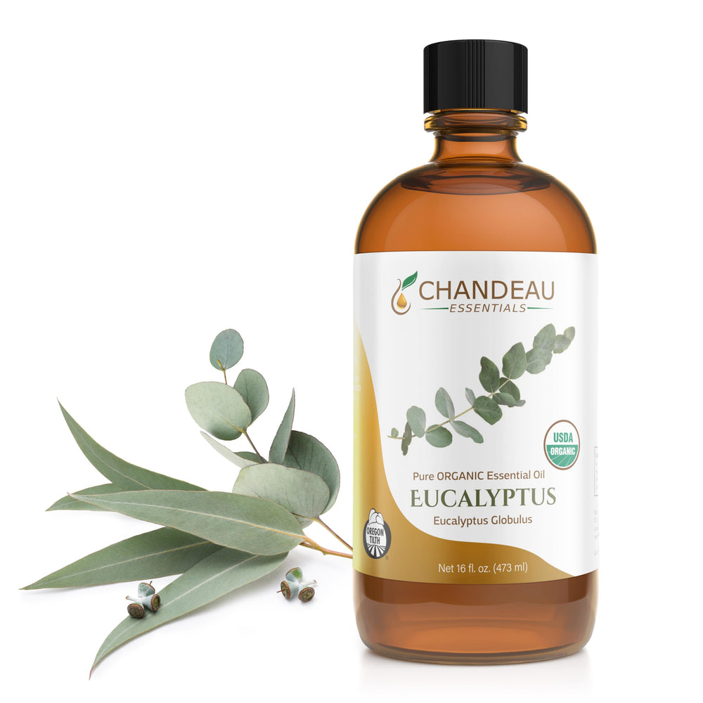 Chandeau Essentials 16 oz amber glass bottle of eucalyptus essential oil