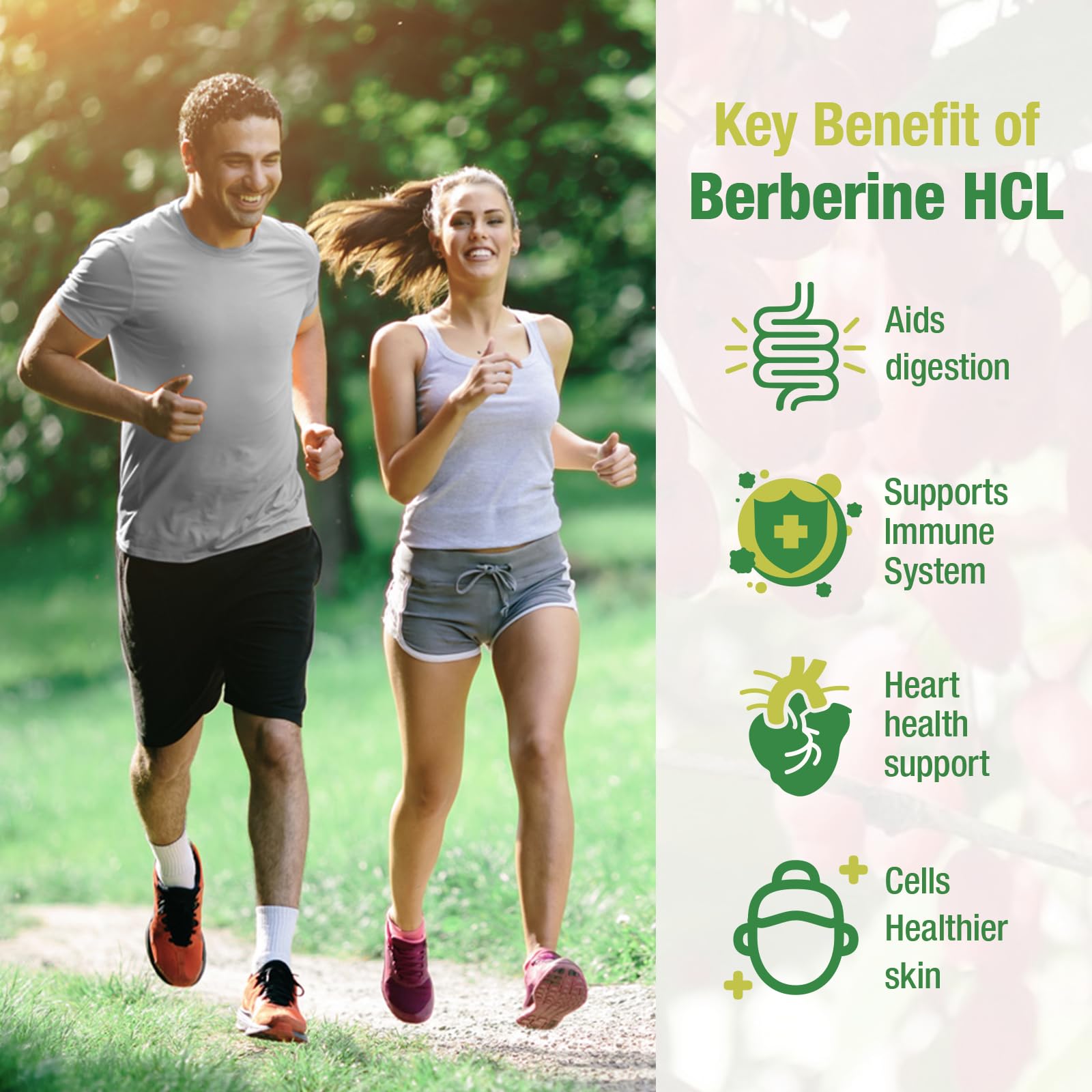 CHANUBITO Berberine 4-pack back with supplement facts