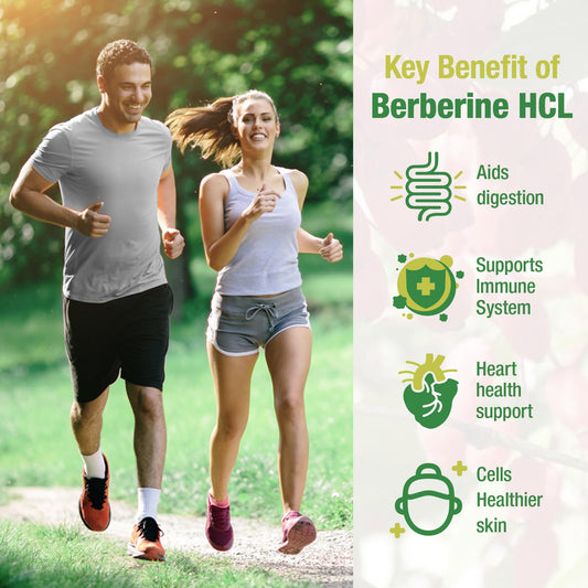 CHANUBITO Berberine 4-pack back with supplement facts
