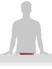 Charleston Chew Strawberry Long Bars 24CT – nutrition panel