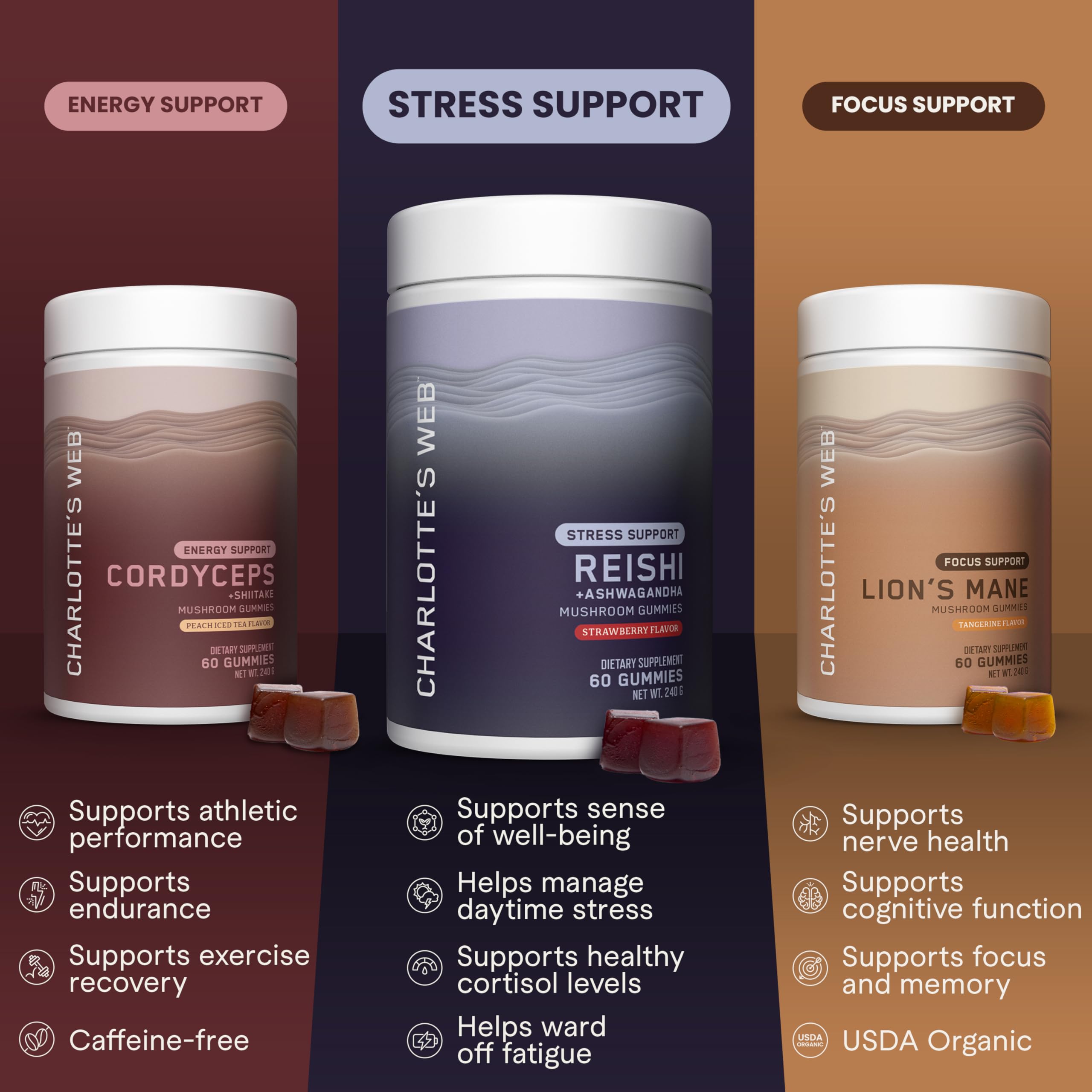 Back view of Charlotte's Web Stress Support Gummies bottle