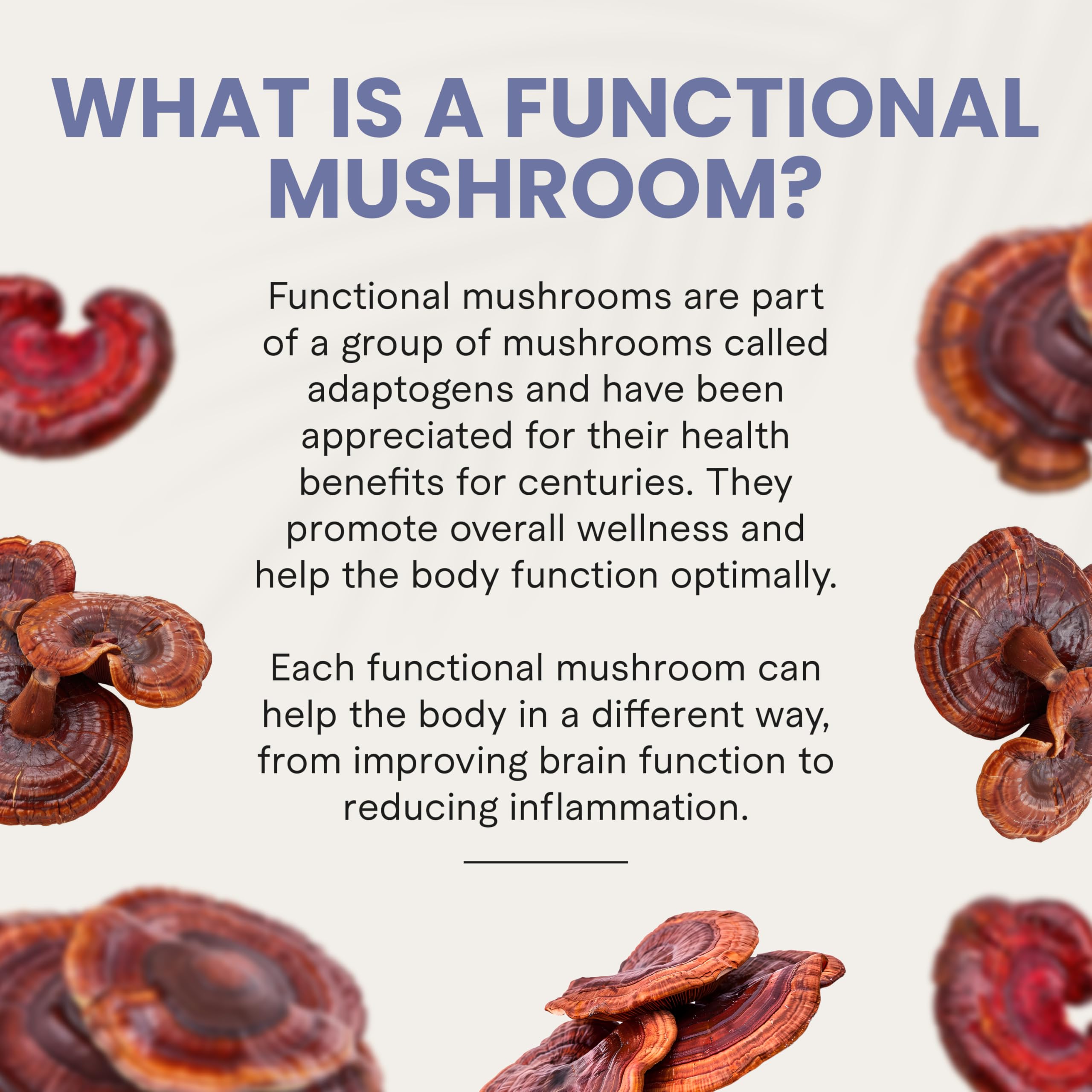 Strawberry-flavored Stress Support Mushroom Gummies