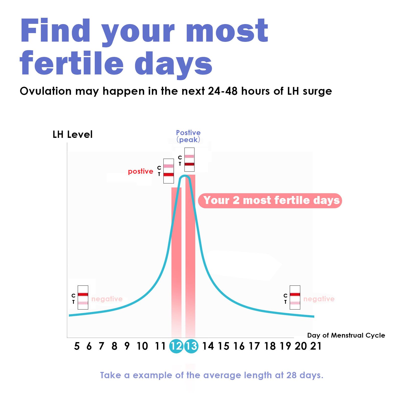 Multiple CheckYo ovulation strips laid out