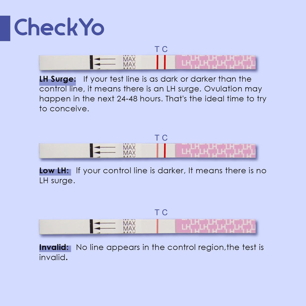 Usage guide image for CheckYo Ovulation Predictor Kit