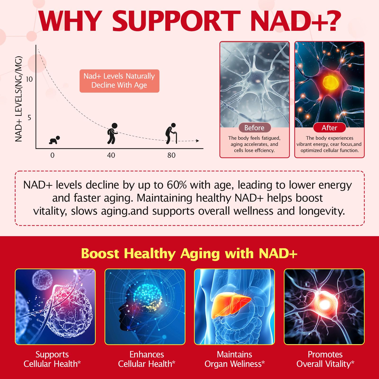Graphic showing Resveratrol and Quercetin with NAD+ liposomal formula