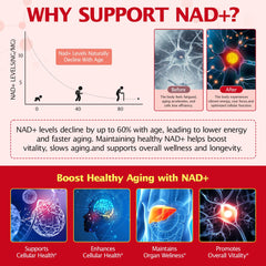 Graphic showing Resveratrol and Quercetin with NAD+ liposomal formula