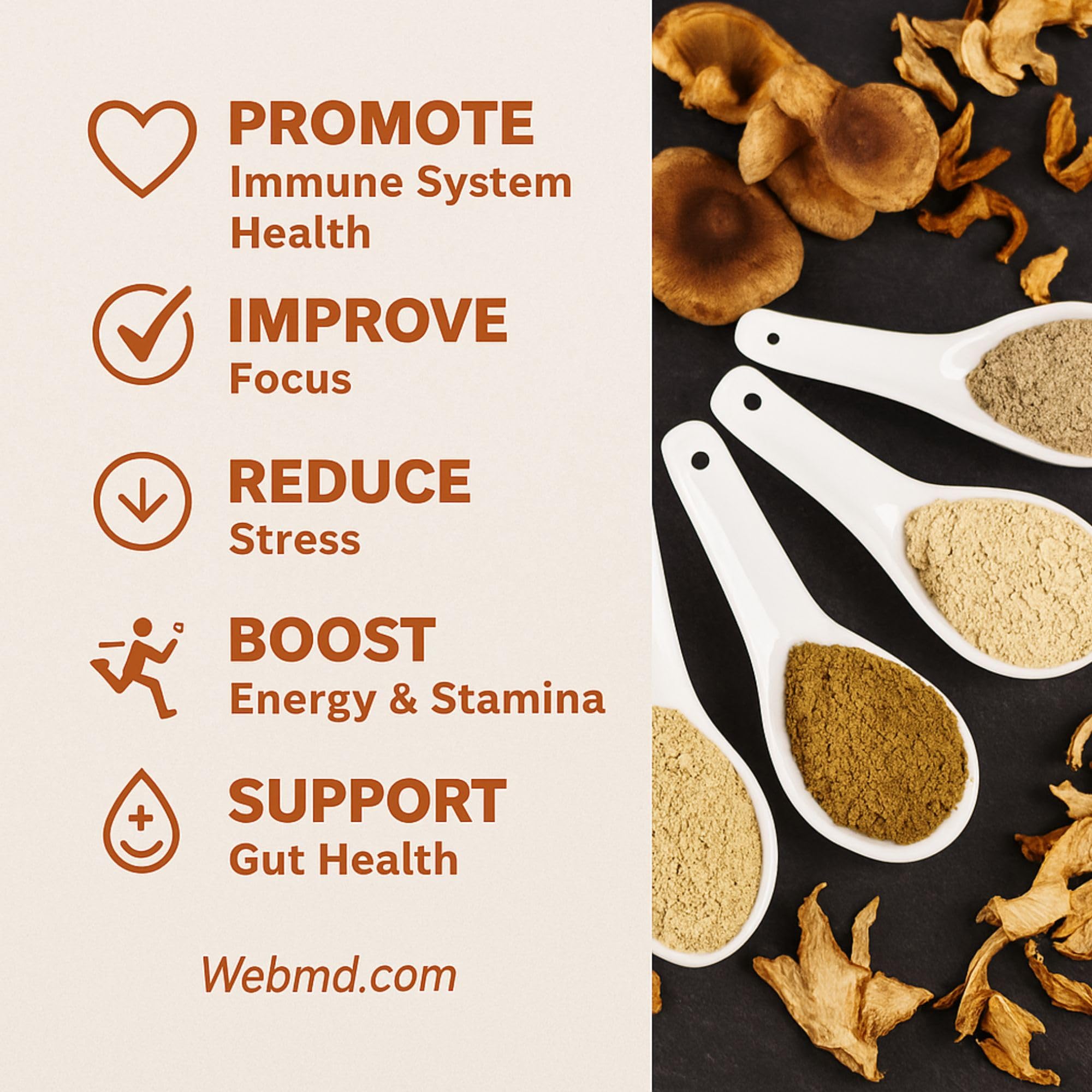 Net weight and serving size details on Cherie Sweet Heart 7 Mushroom Extract Powder packaging