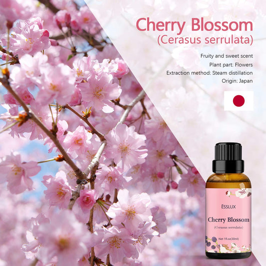 Close-up of cherry blossom essential oil in amber bottle