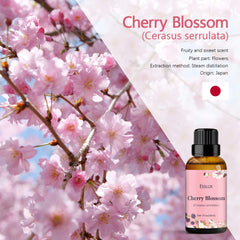 Close-up of cherry blossom essential oil in amber bottle