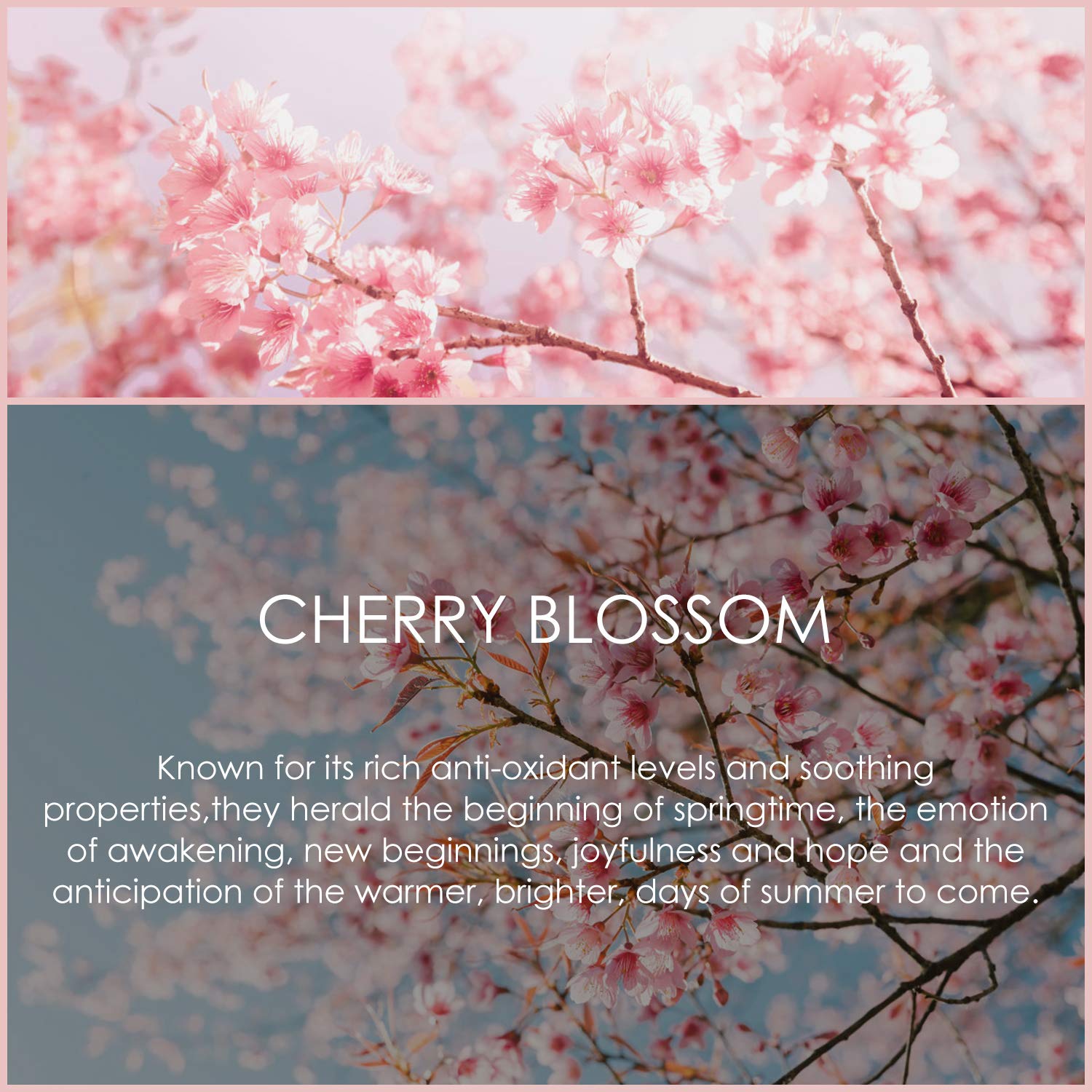 Packaging of Cherry Blossom essential oil 120ml SALKING
