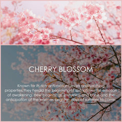 Packaging of Cherry Blossom essential oil 120ml SALKING
