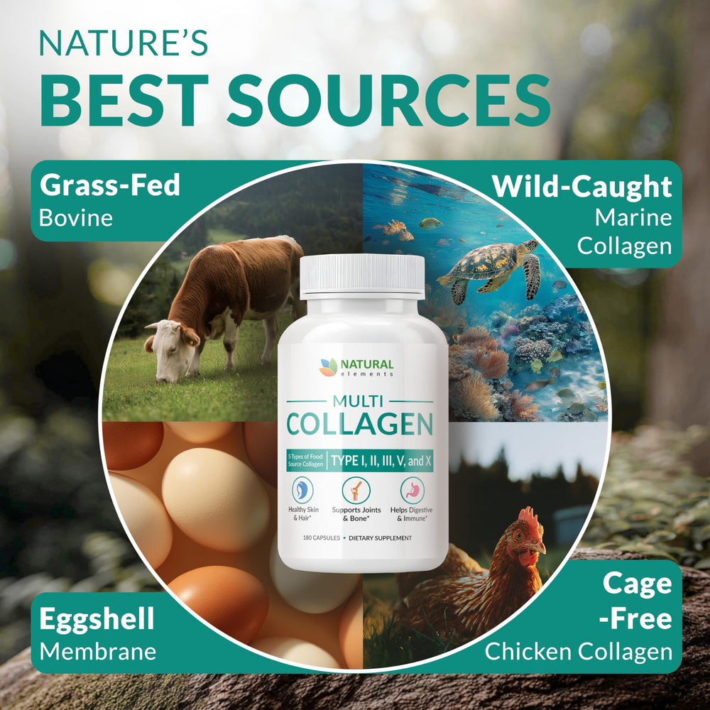 Chicken bone broth collagen source image
